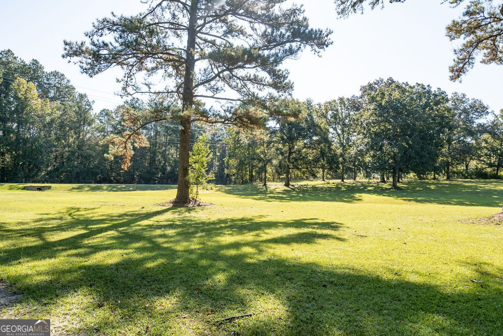 12820 Ga Highway 87 Juliette - 59