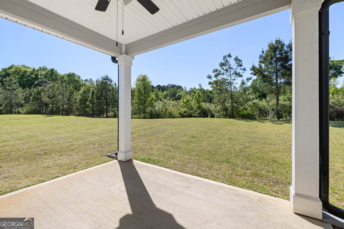 13256 Tolstoy Drive Covington - 30