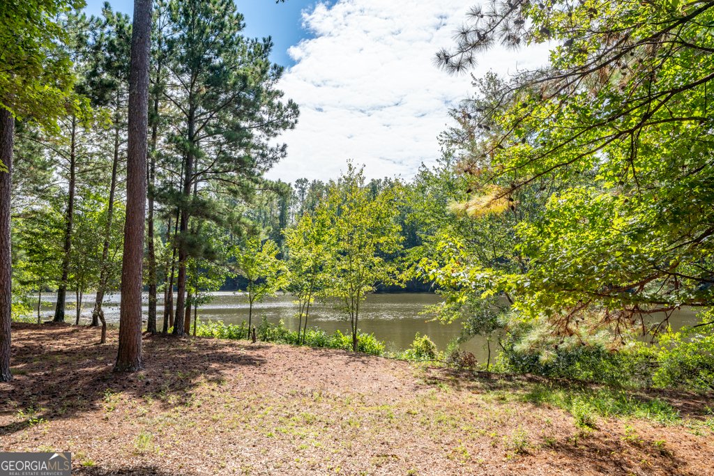 12856 Deer Park Lane Alpharetta - 3