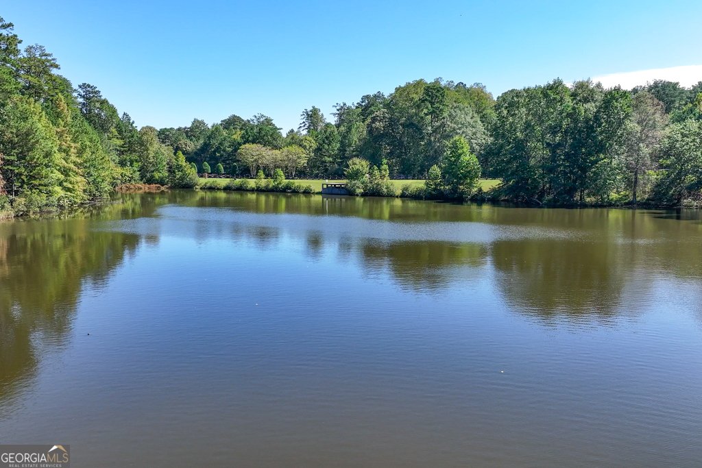 12856 Deer Park Lane Alpharetta - 4