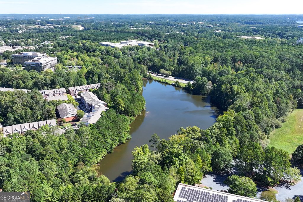 12856 Deer Park Lane Alpharetta - 9