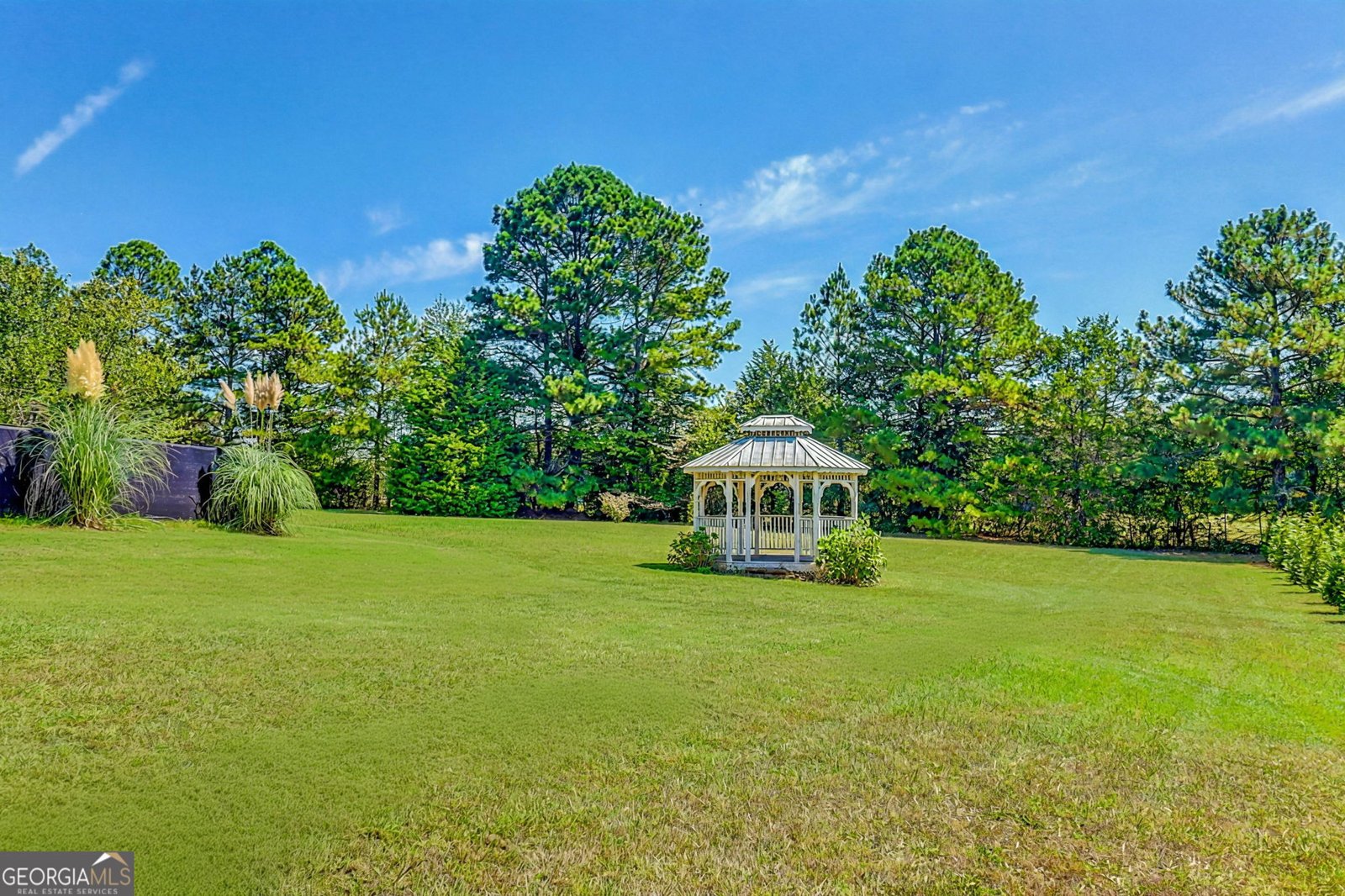 32 Wrightsburg Trail Senoia - 35