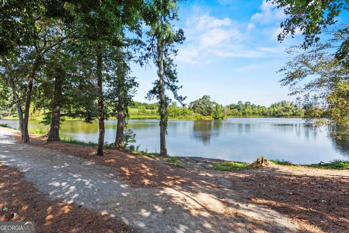 803 Levi Farm Lane Canton - 35