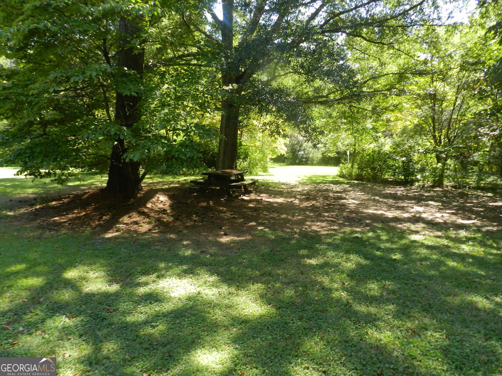 326 Satie Creek Way McDonough - 5