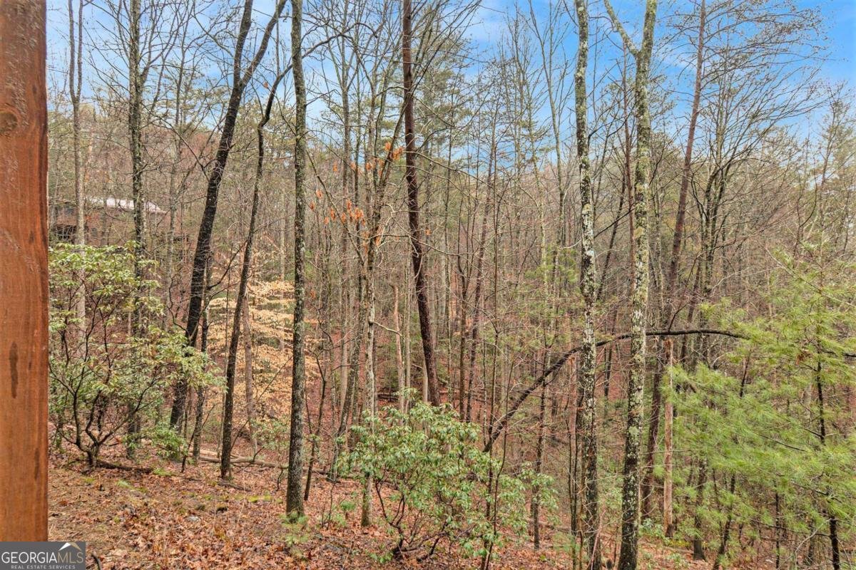 77 BRITTANY Lane Cherry Log - 36