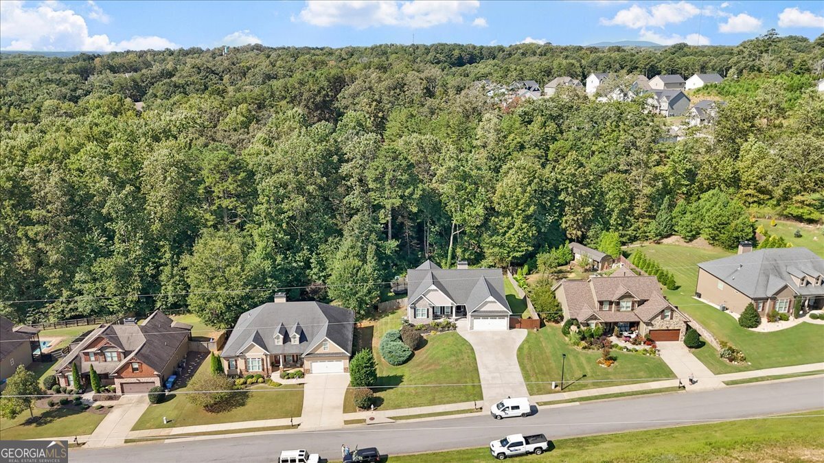 421 Tom Avery Drive Ball Ground - 3