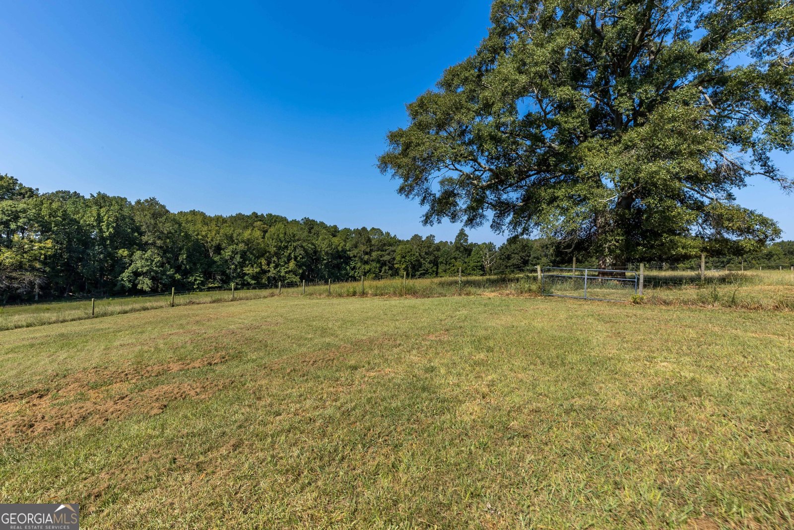 1540 Flint Hill Highway Shiloh - 38