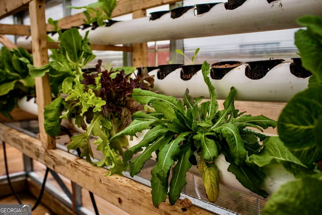 1540 Flint Hill Highway Shiloh - 54