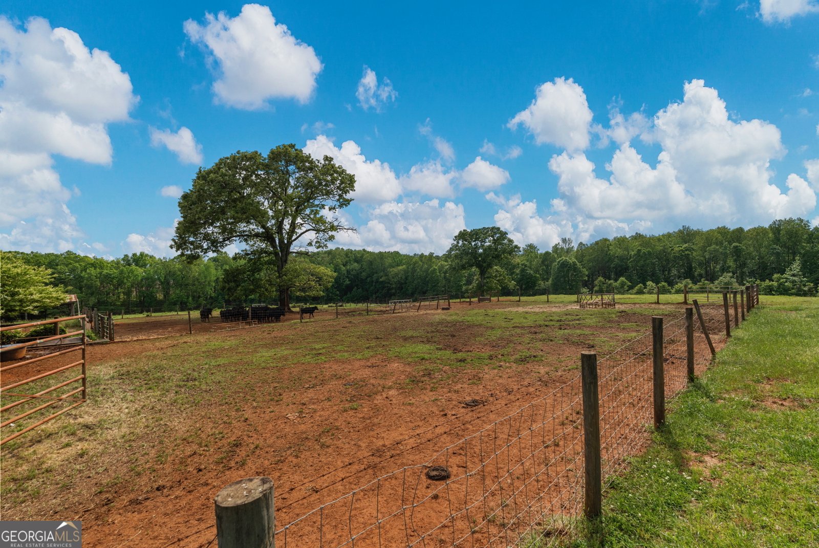 1540 Flint Hill Highway Shiloh - 57