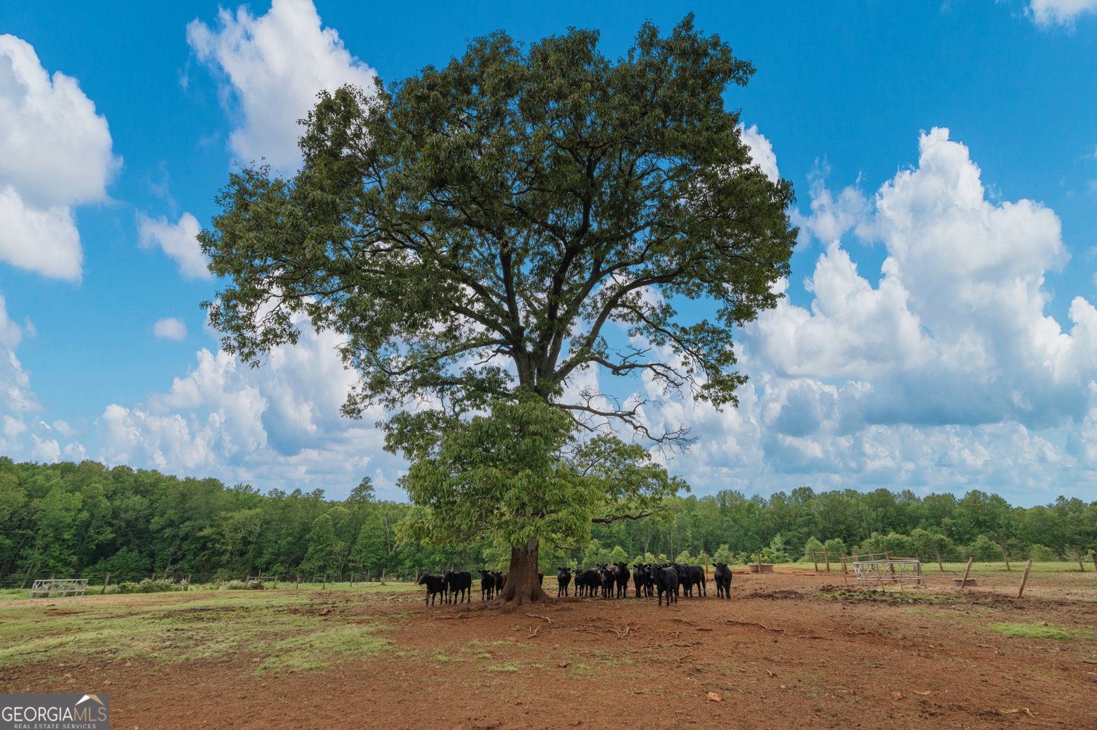 1540 Flint Hill Highway Shiloh - 58