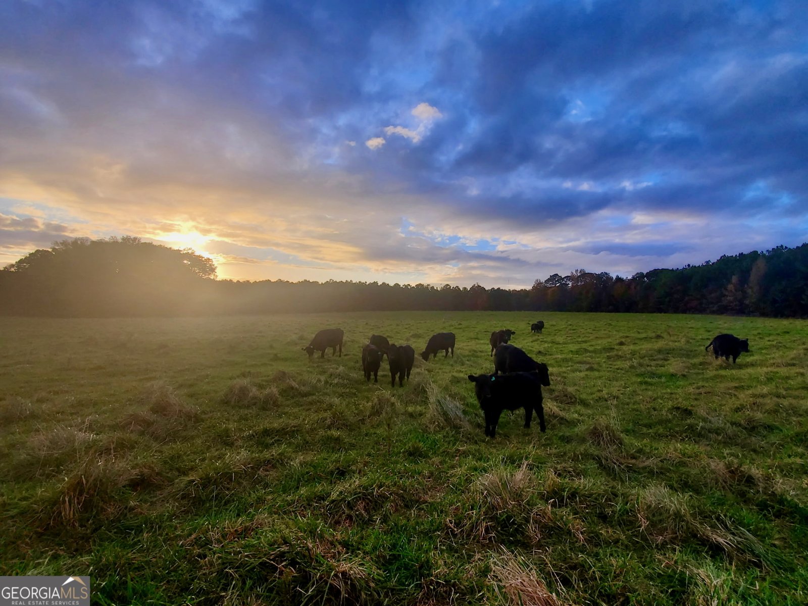 1540 Flint Hill Highway Shiloh - 65