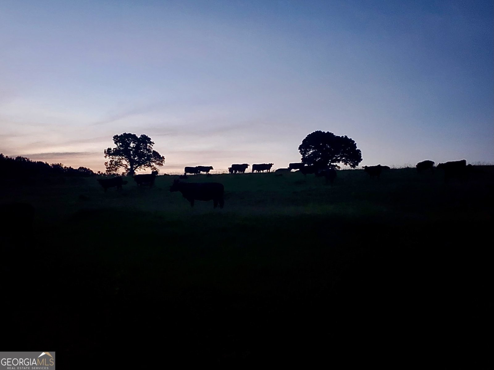 1540 Flint Hill Highway Shiloh - 68