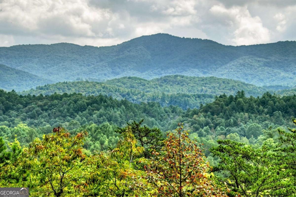 327 Kateri Ridge Ellijay - 2