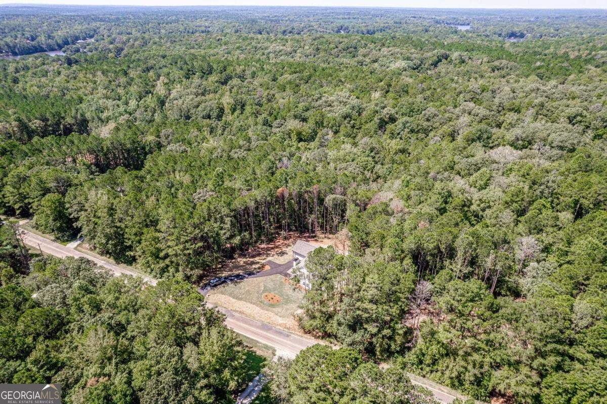 407 Thomas Drive Eatonton - 54