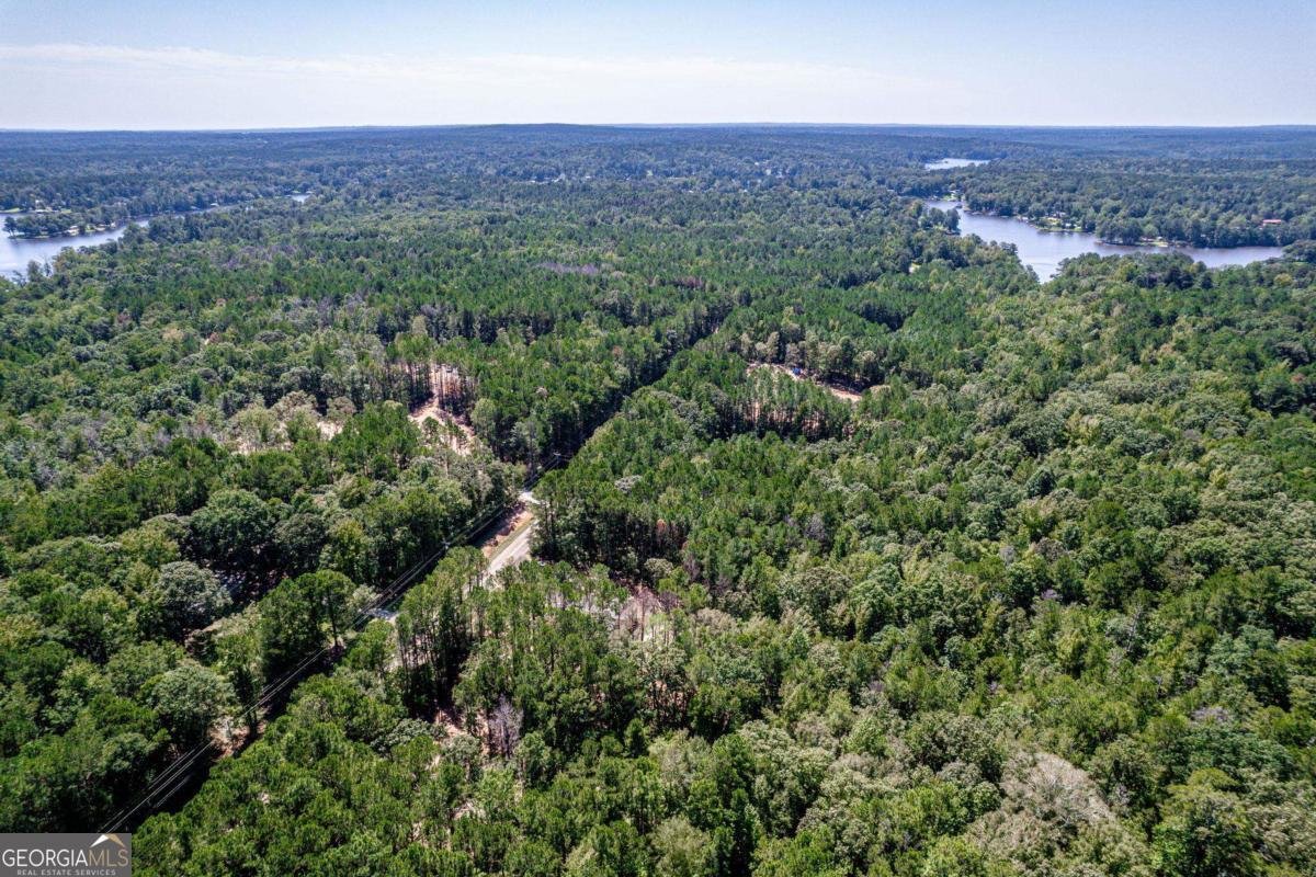 407 Thomas Drive Eatonton - 56