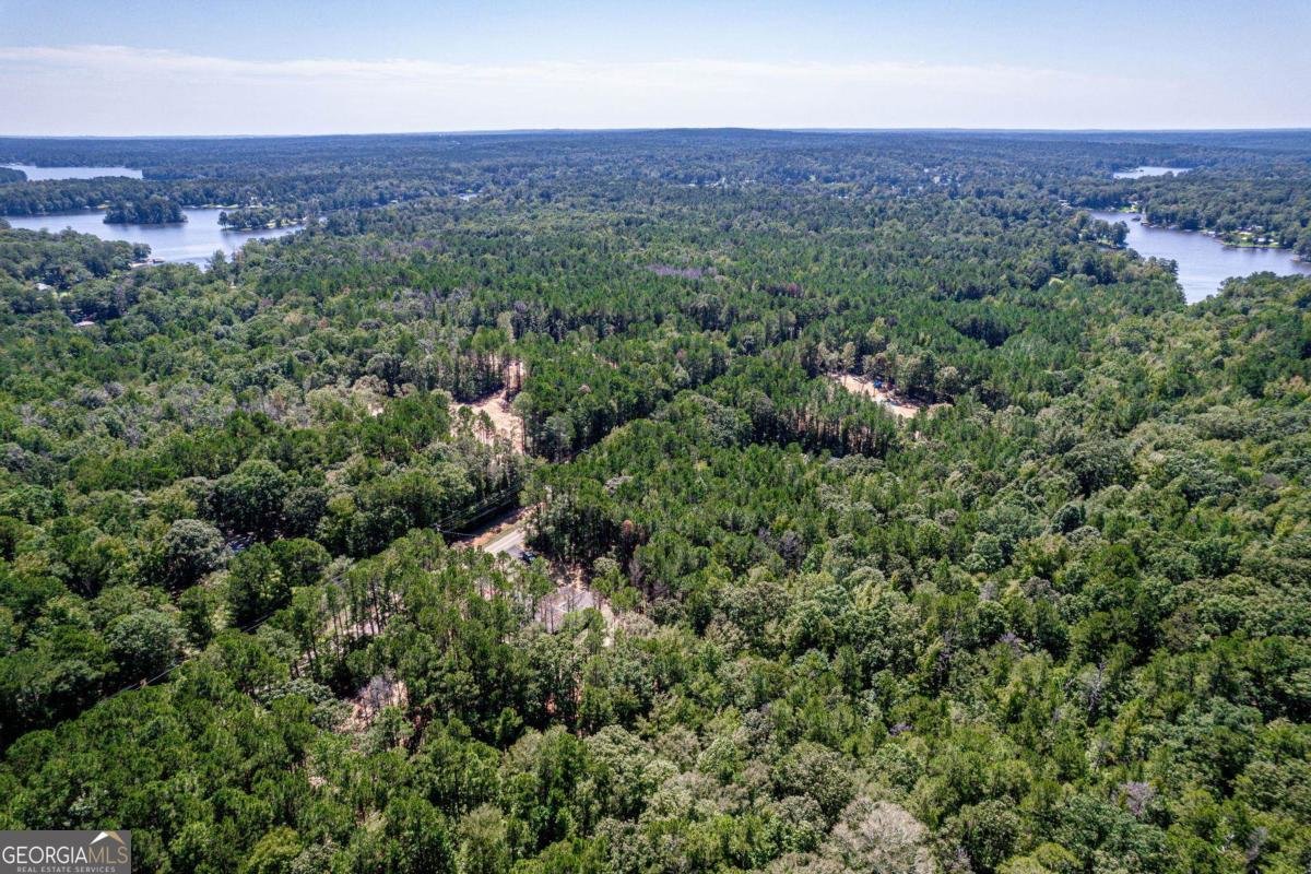 407 Thomas Drive Eatonton - 57
