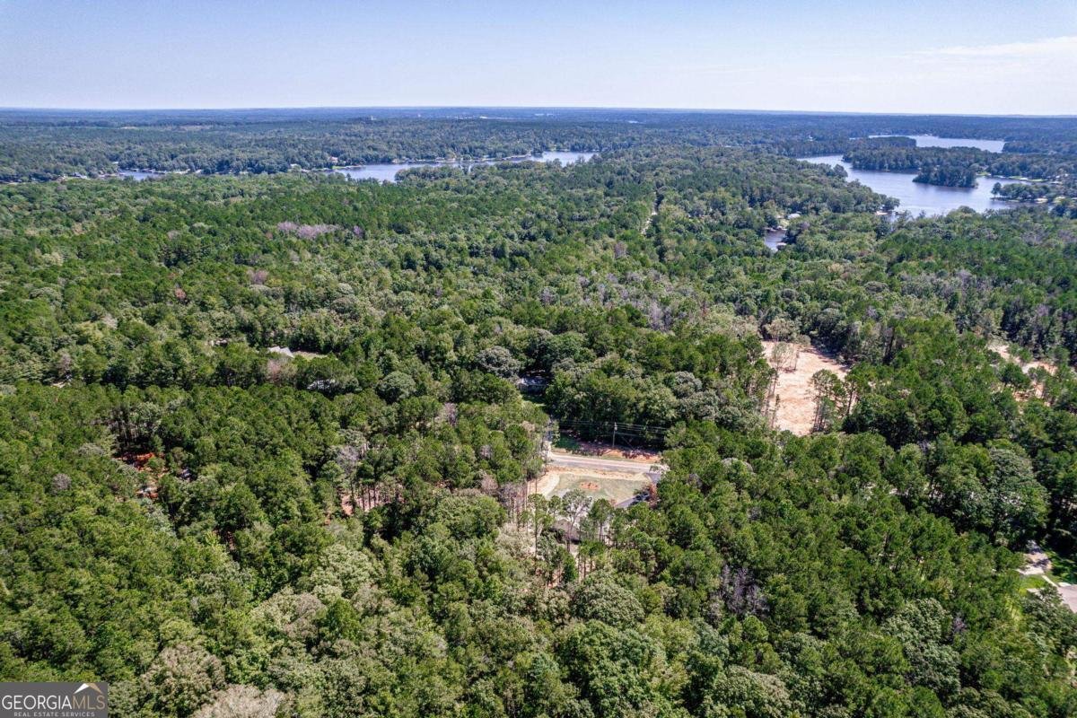 407 Thomas Drive Eatonton - 59