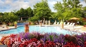 166 Glen Eagle Way Mcdonough - 23
