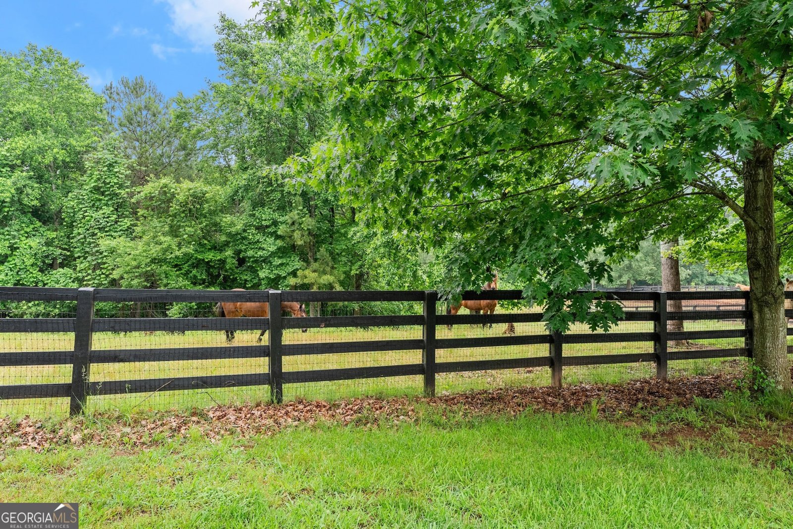 7215 Kelly Bridge Road Dawsonville - 47