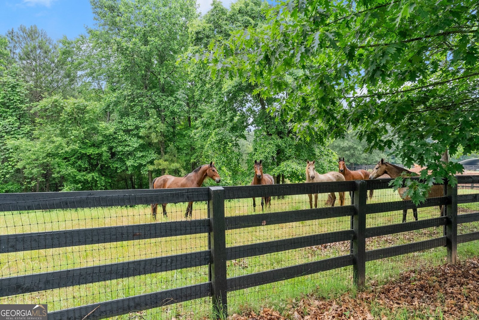 7215 Kelly Bridge Road Dawsonville - 48