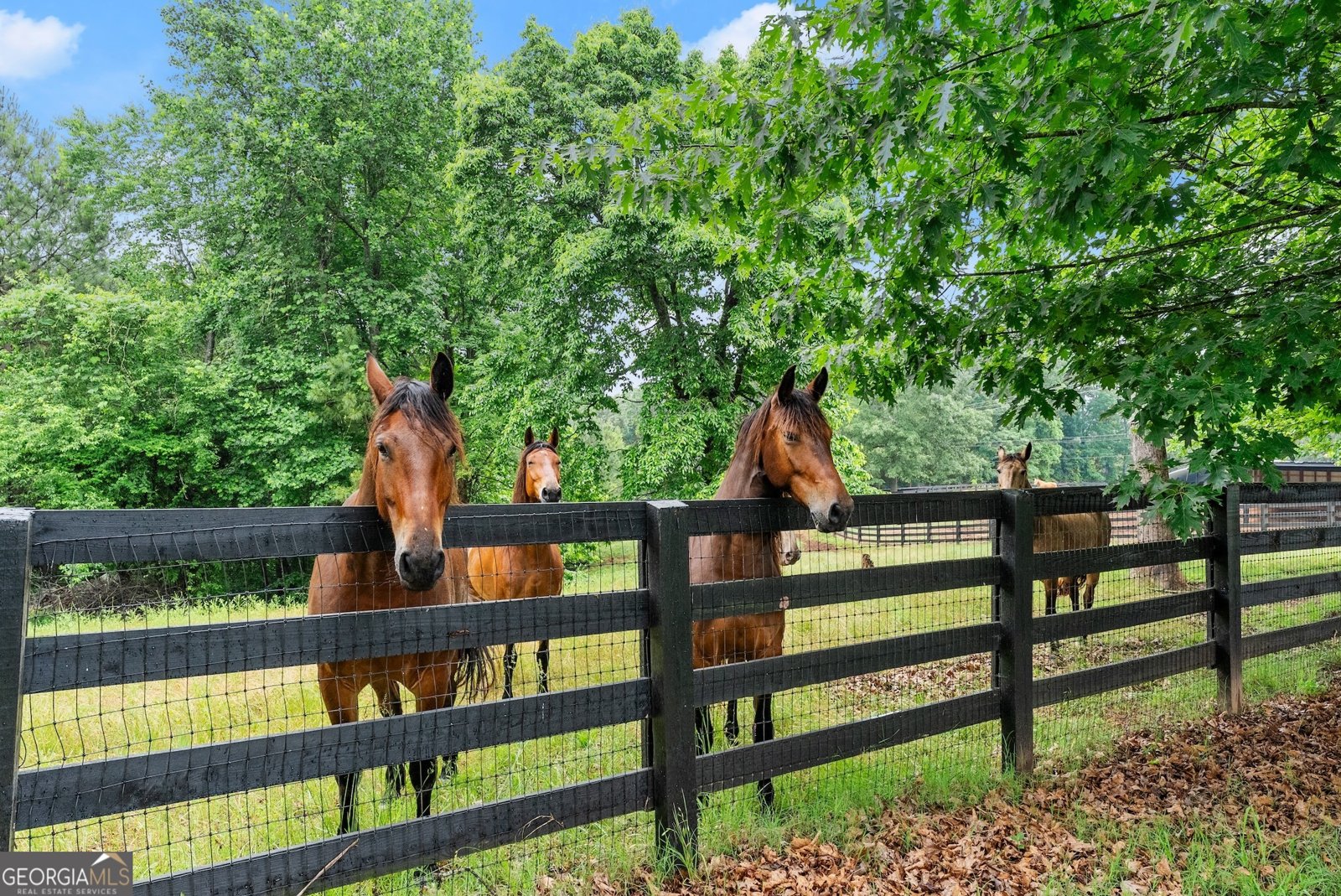 7215 Kelly Bridge Road Dawsonville - 51