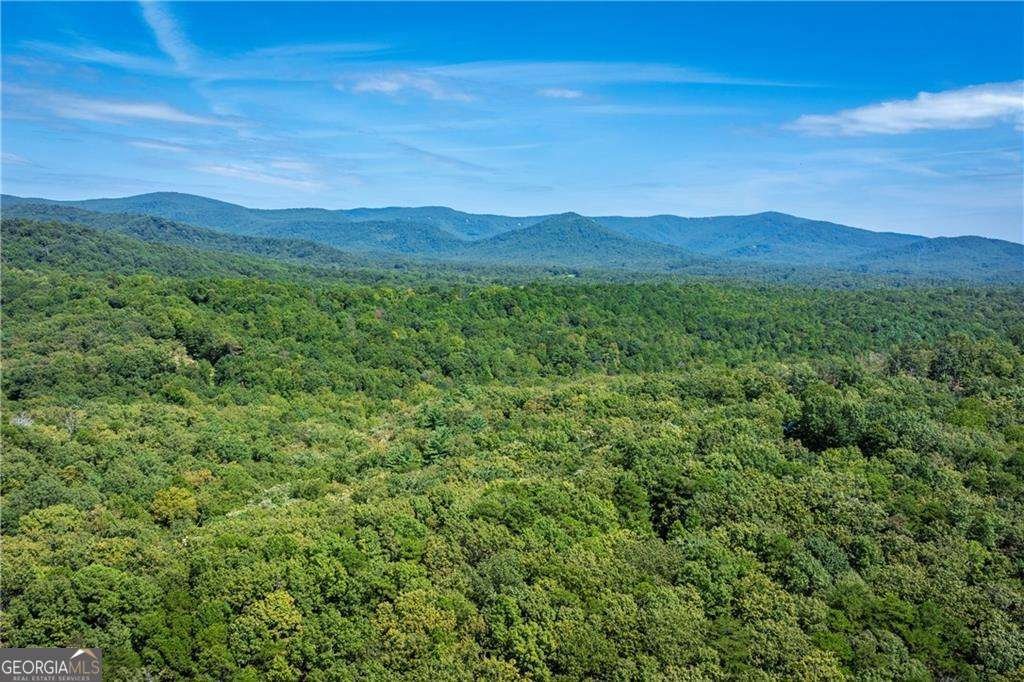 2844 Burnt Mountain Road Jasper - 22