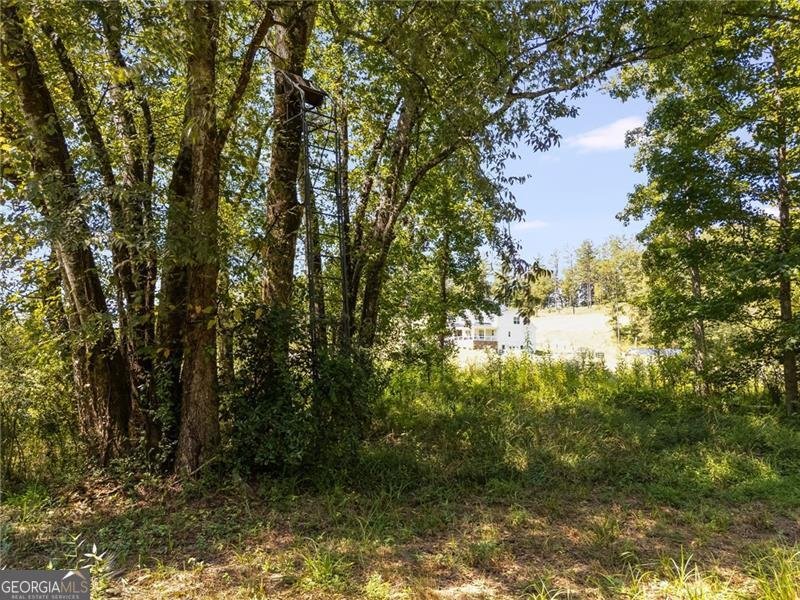 375 Druid Road Rome - 16
