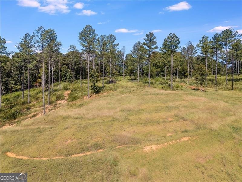 375 Druid Road Rome - 64