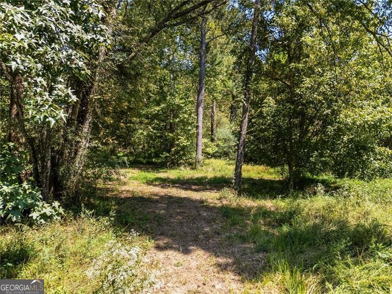 375 Druid Road Rome - 73