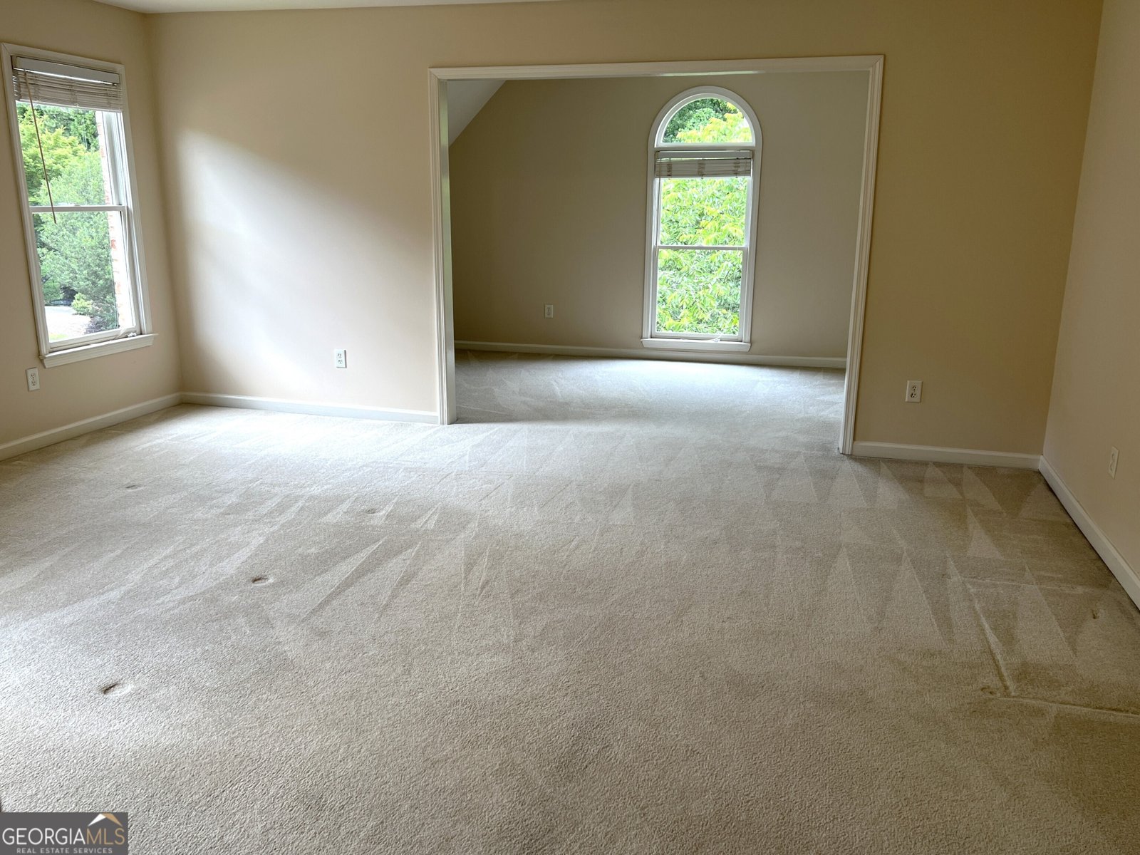 4091 Oberon Court Smyrna - 19