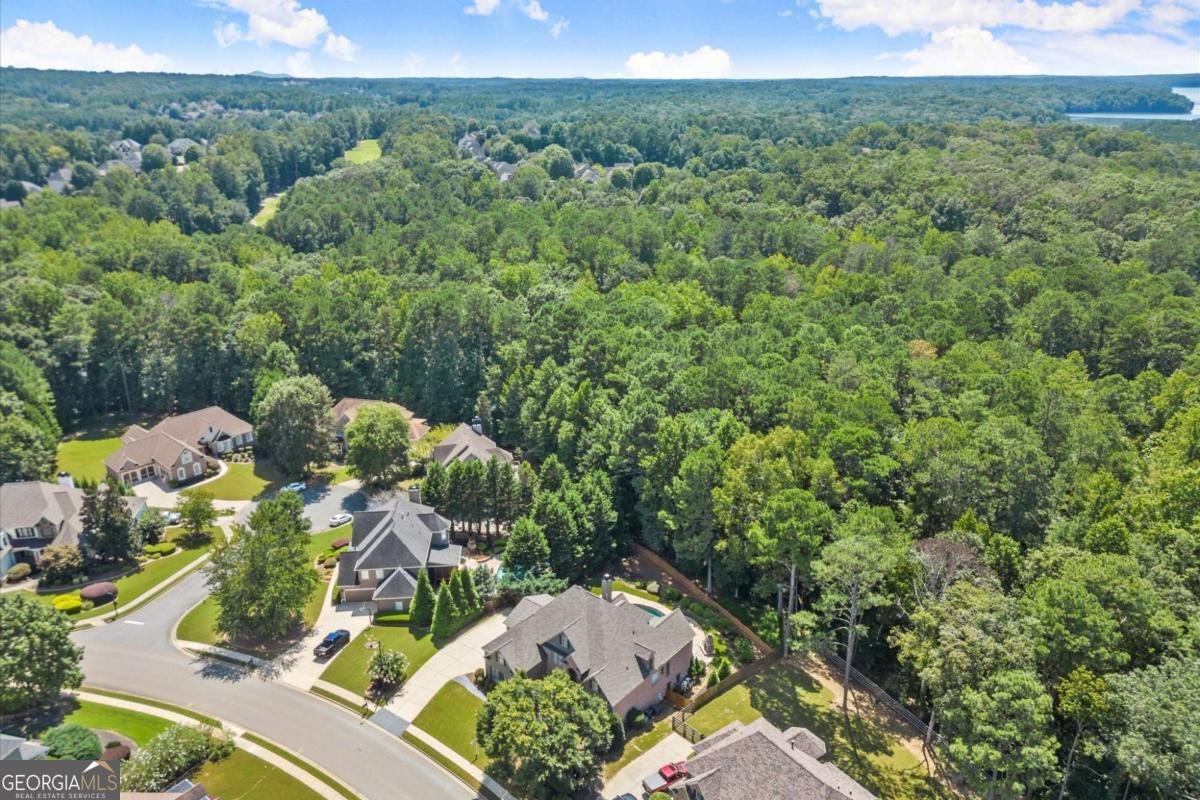 4123 Gold Mill Ridge Canton - 84