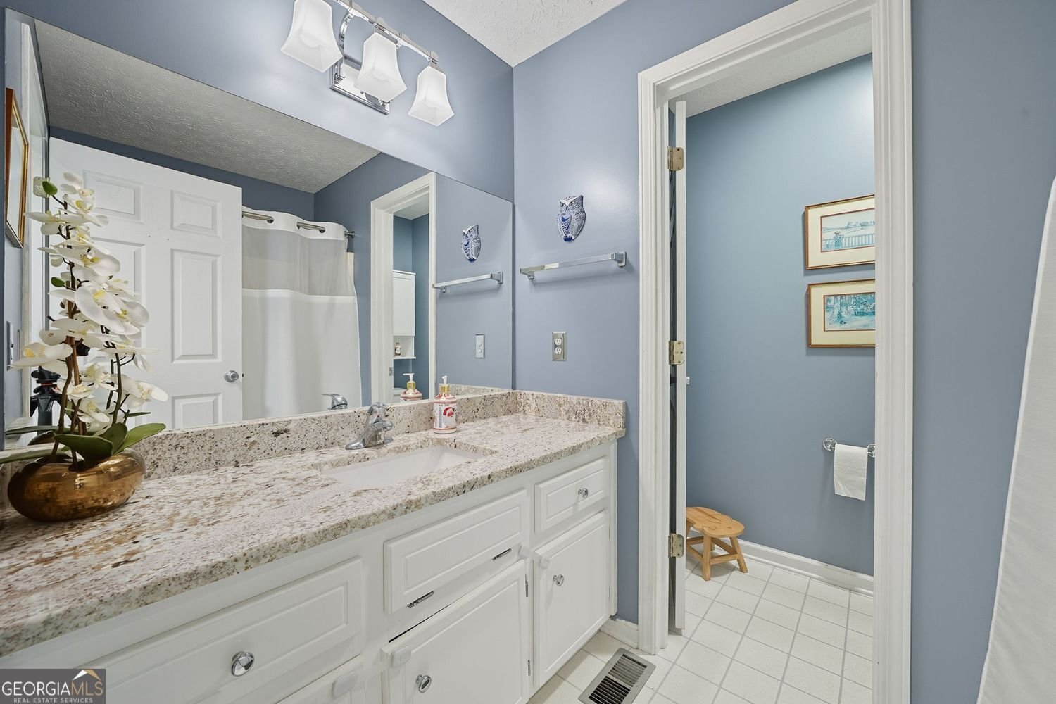 421 Coolsprings Trail Woodstock - 18