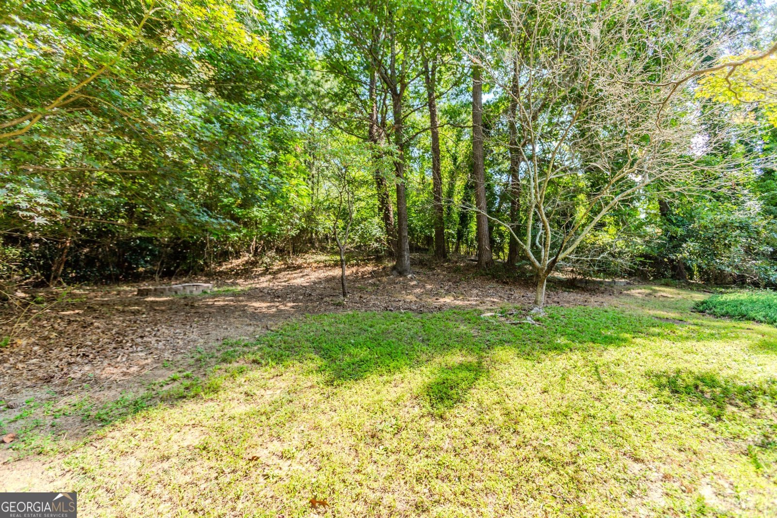 2917 Forest Court Loganville - 42