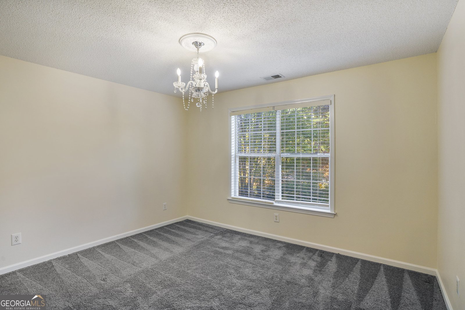 407 River Forest Drive Mcdonough - 28