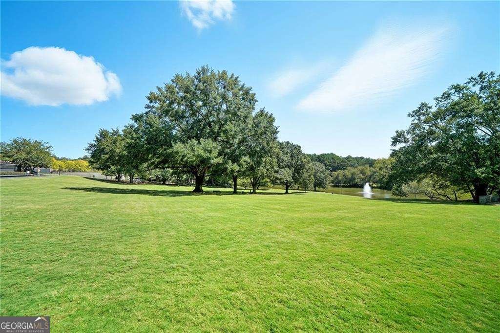 1154 Fairway Gardens Brookhaven - 11