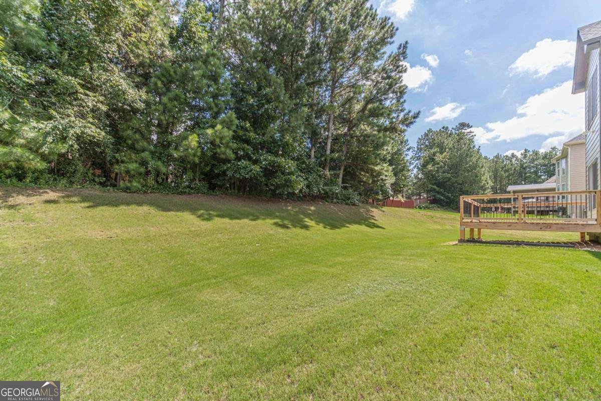 1859 Alcovy Shoals Bluff Lawrenceville - 69