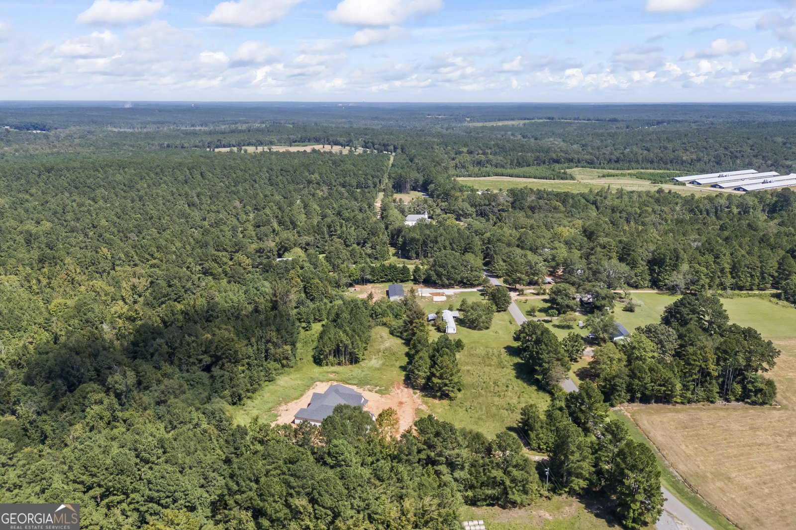 219 Piney Grove Road Comer - 3