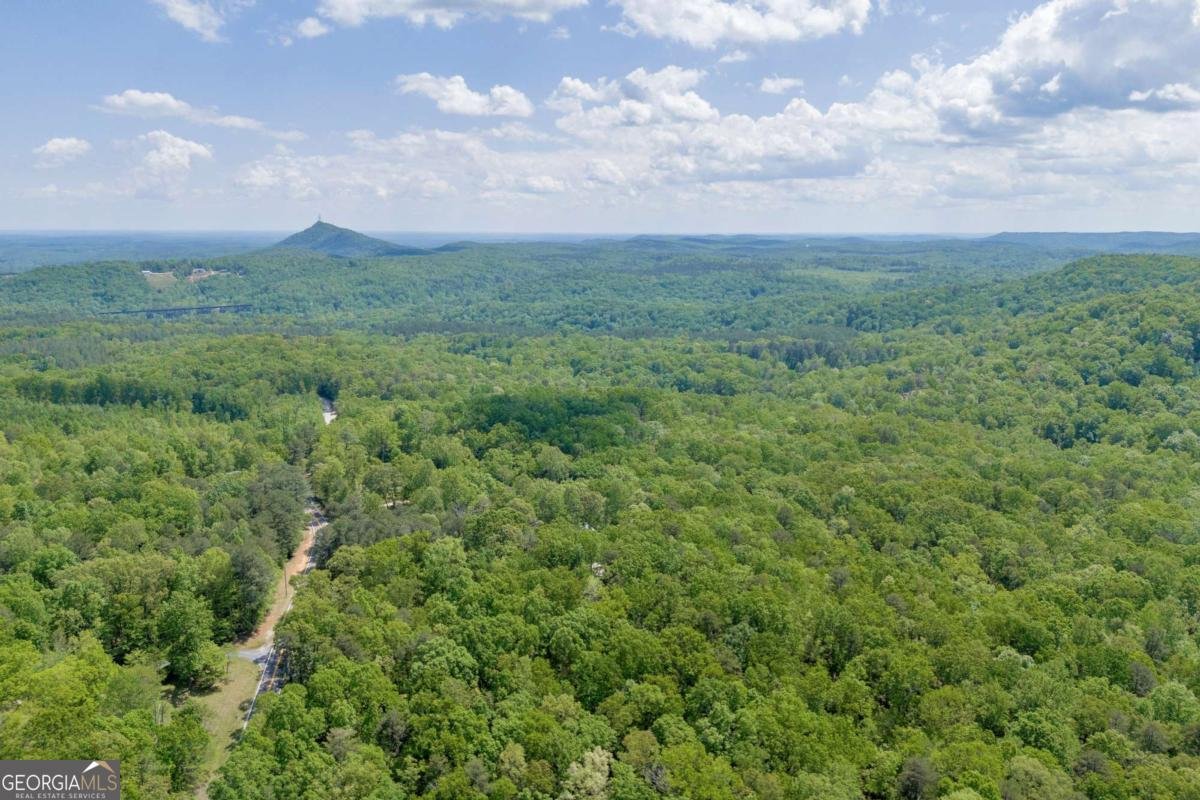 1886 Bend N Hickory Road Toccoa - 10
