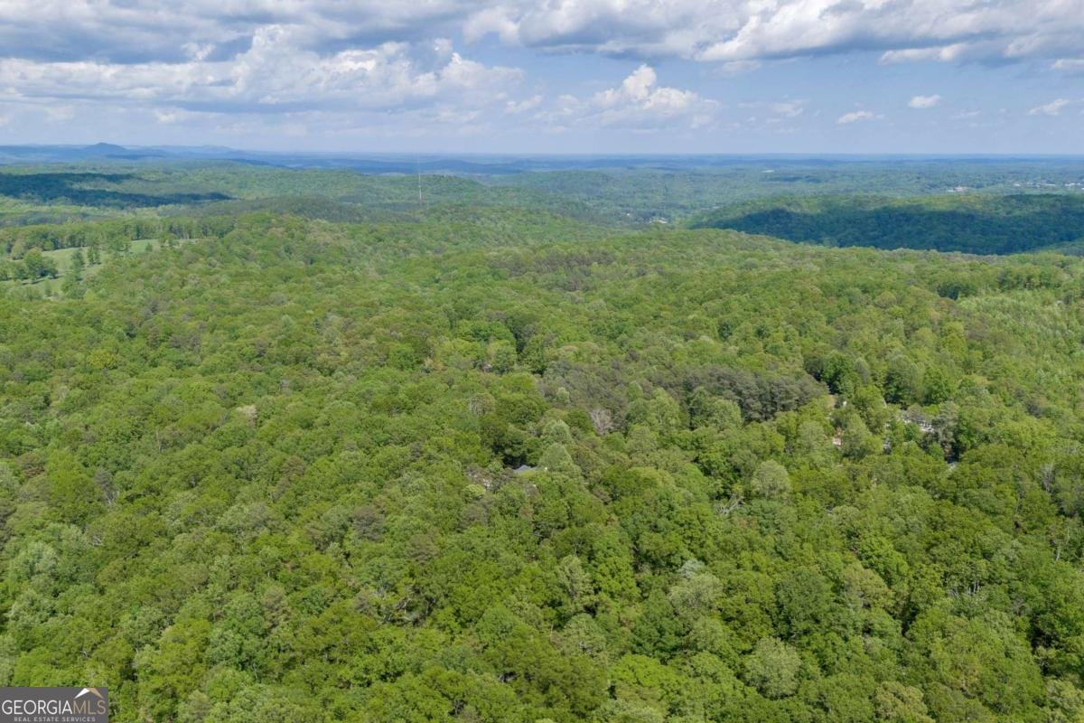 1886 Bend N Hickory Road Toccoa - 13