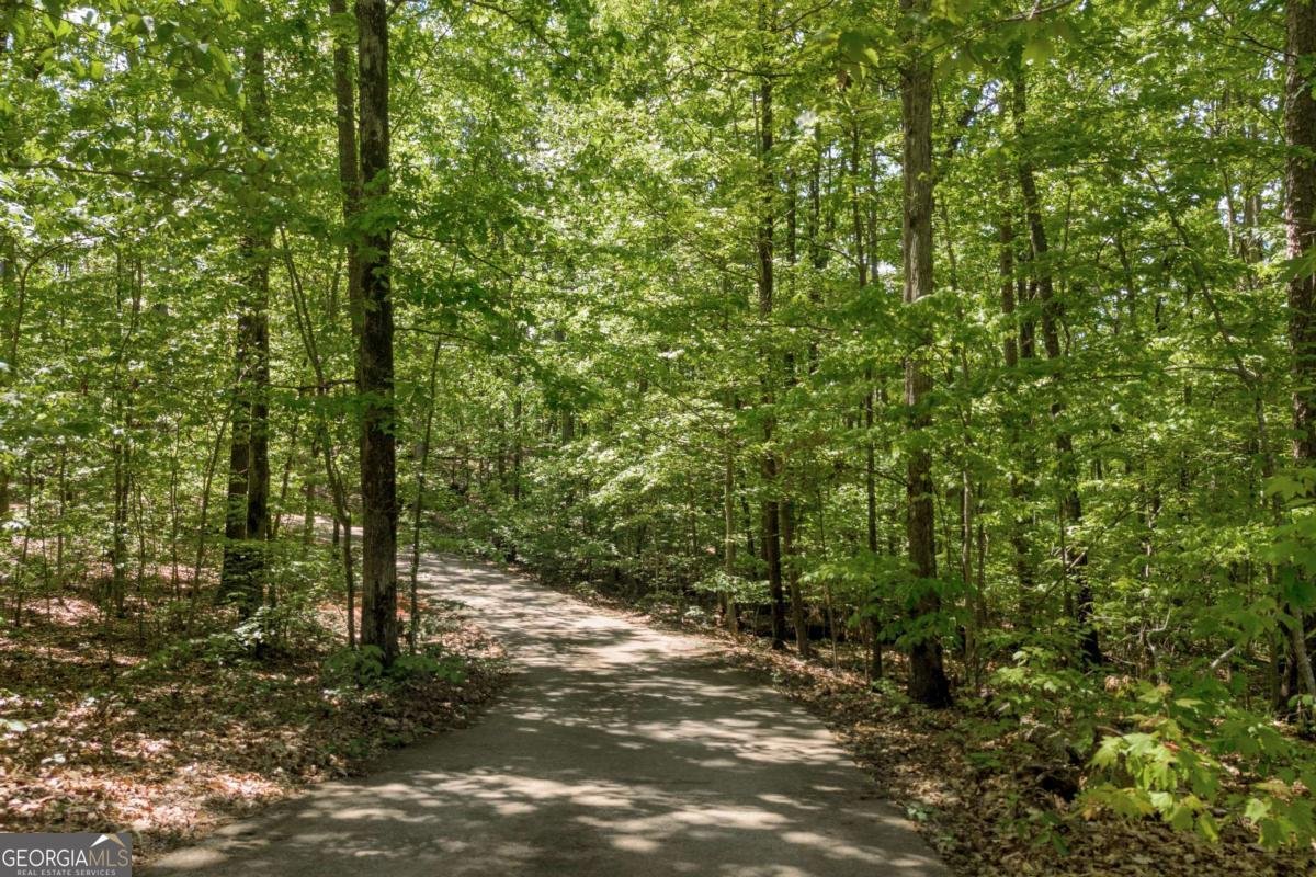 1886 Bend N Hickory Road Toccoa - 27