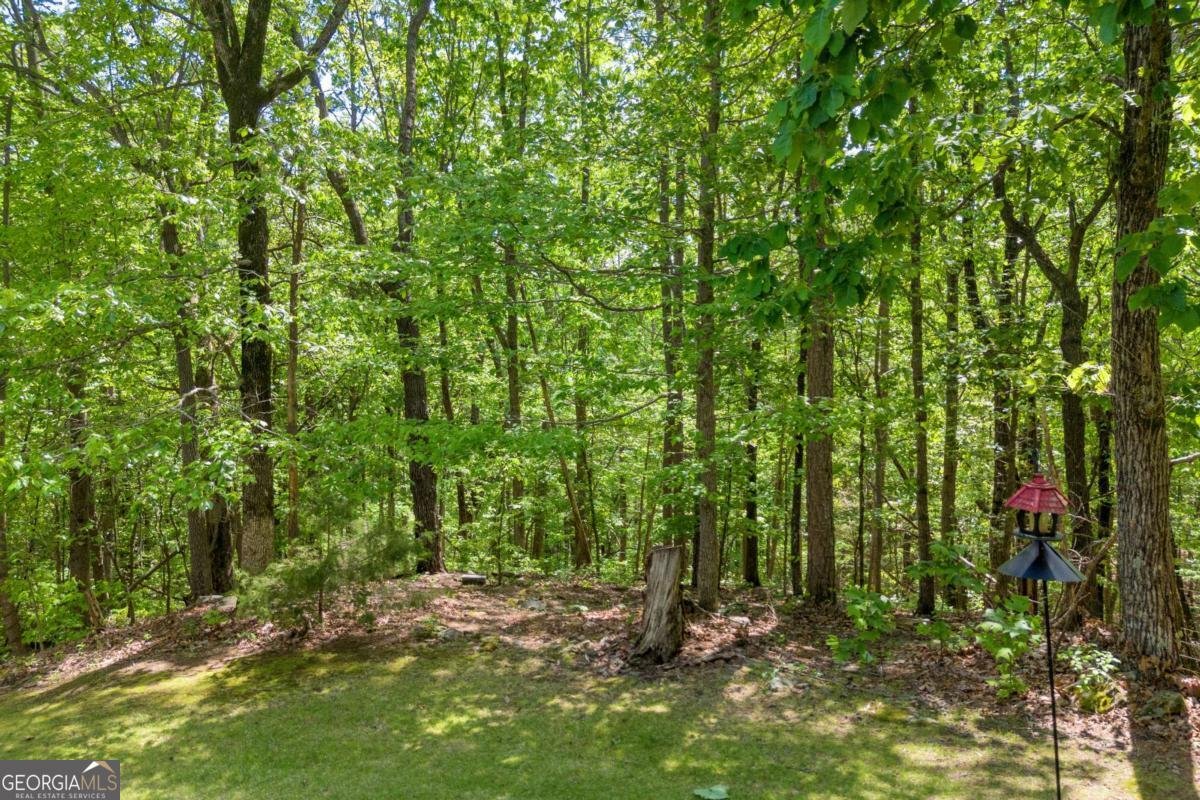 1886 Bend N Hickory Road Toccoa - 31
