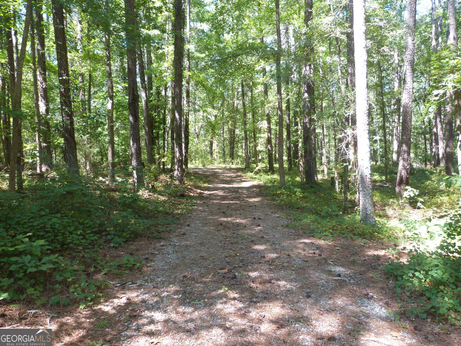 2321 Broach Road Monroe - 31