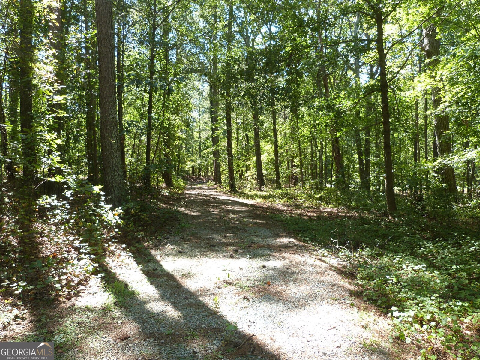 2321 Broach Road Monroe - 32