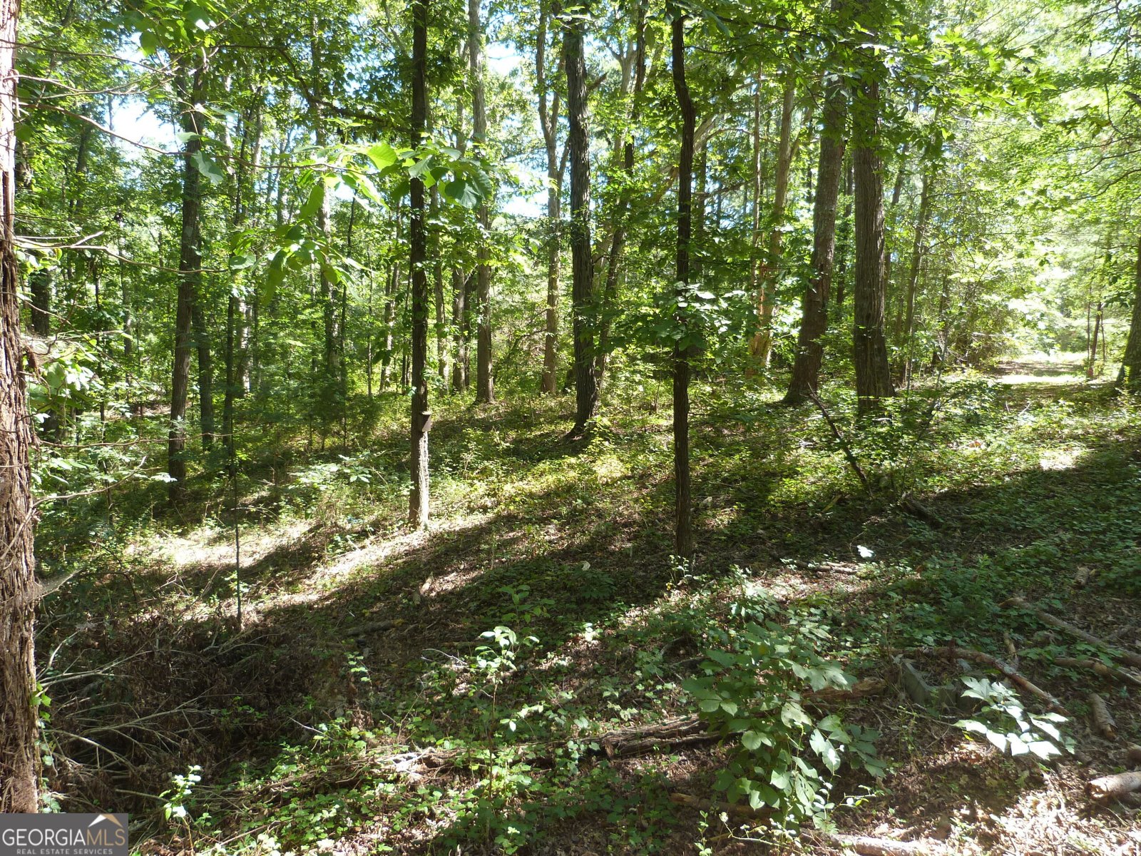 2321 Broach Road Monroe - 37