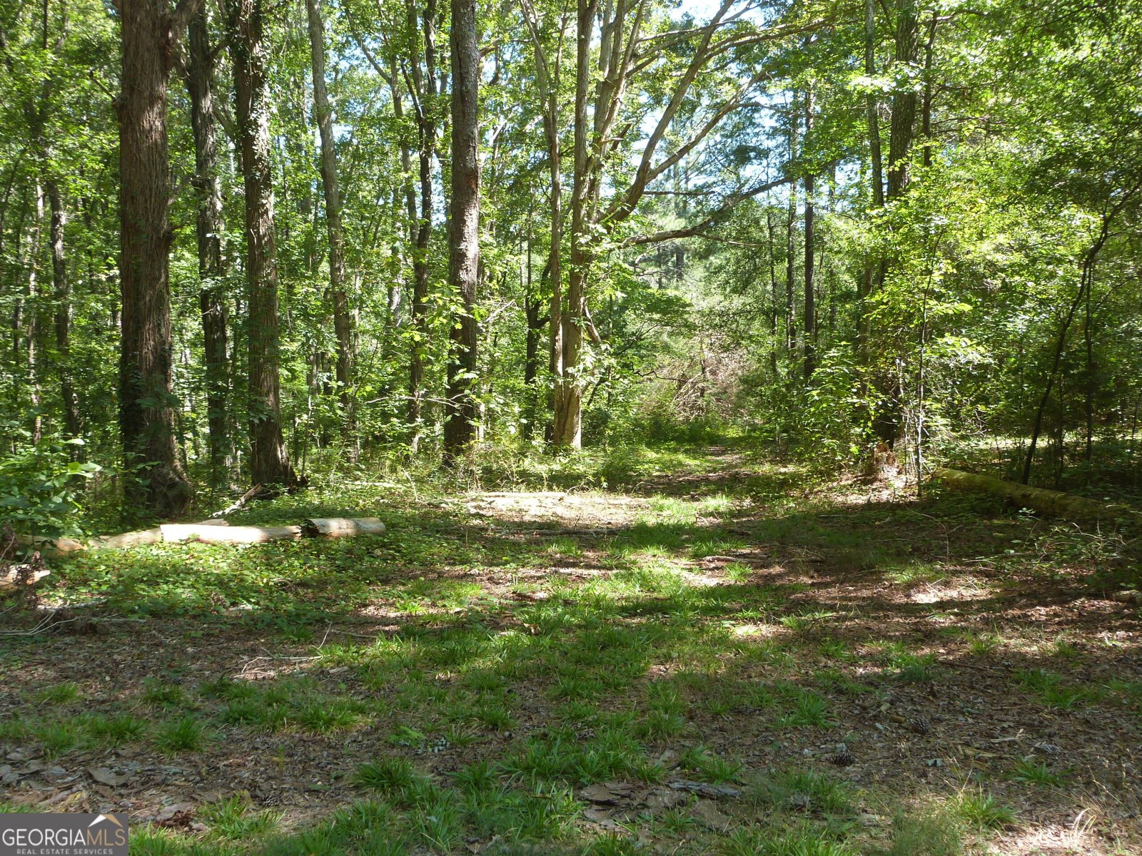 2321 Broach Road Monroe - 38