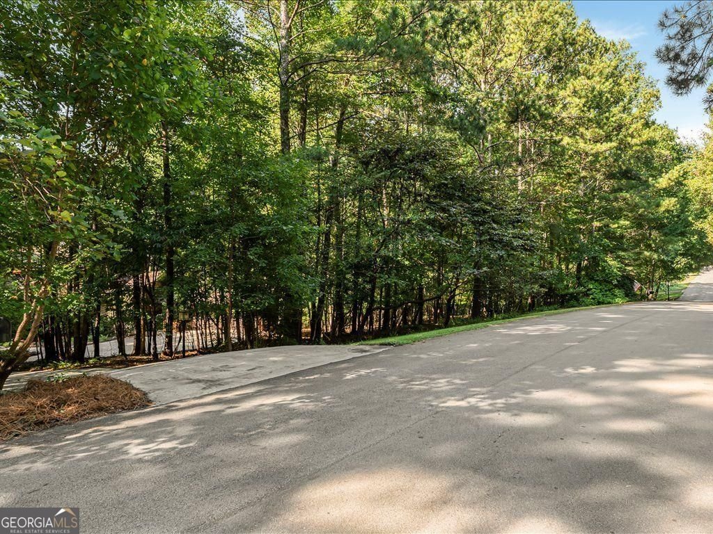 315 Crabapple Springs Way Woodstock - 5