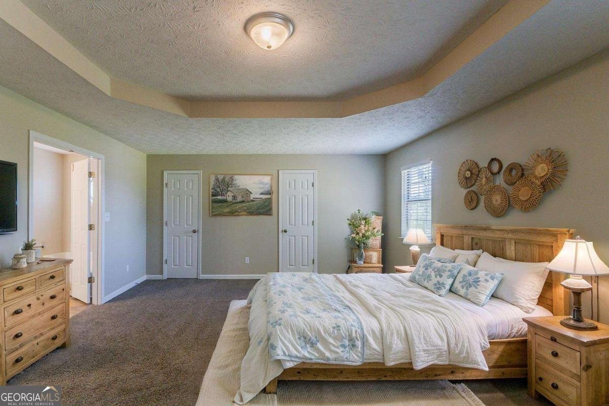 659 Monticello Lane Mcdonough - 23