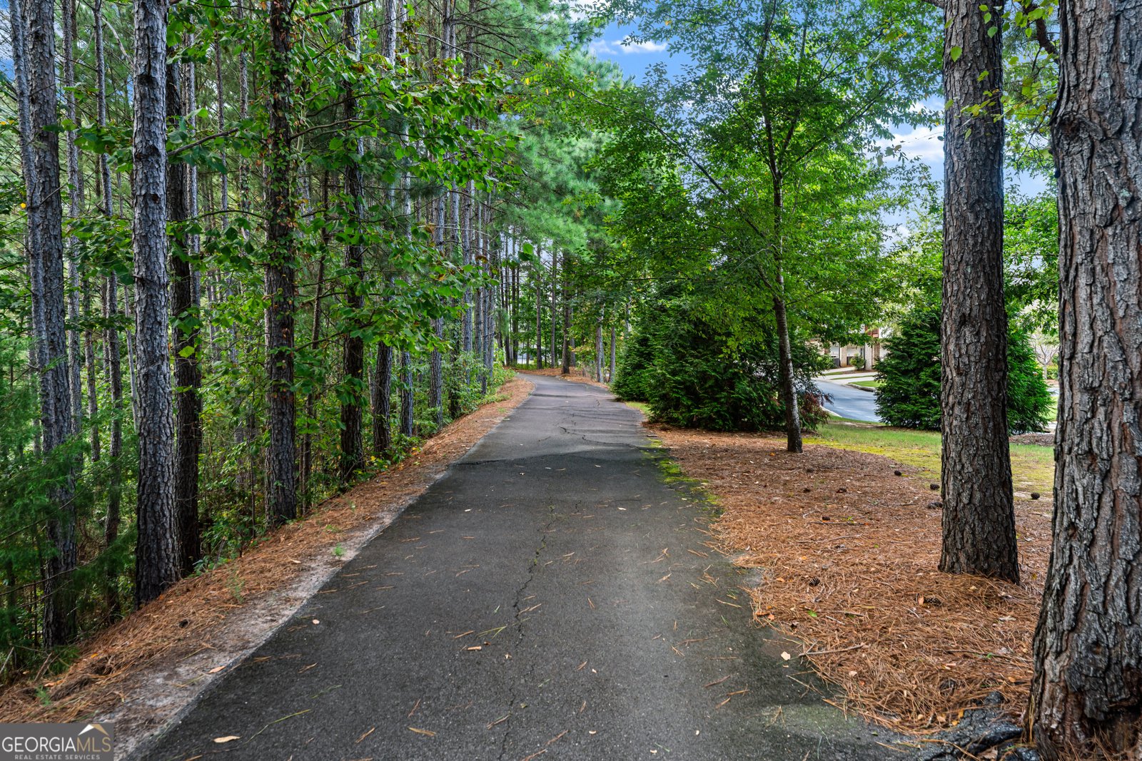 3766 Alstead Manor Way Suwanee - 3