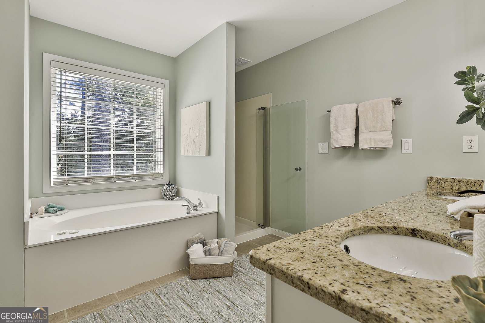 367 Aster Ridge Trail Peachtree City - 39