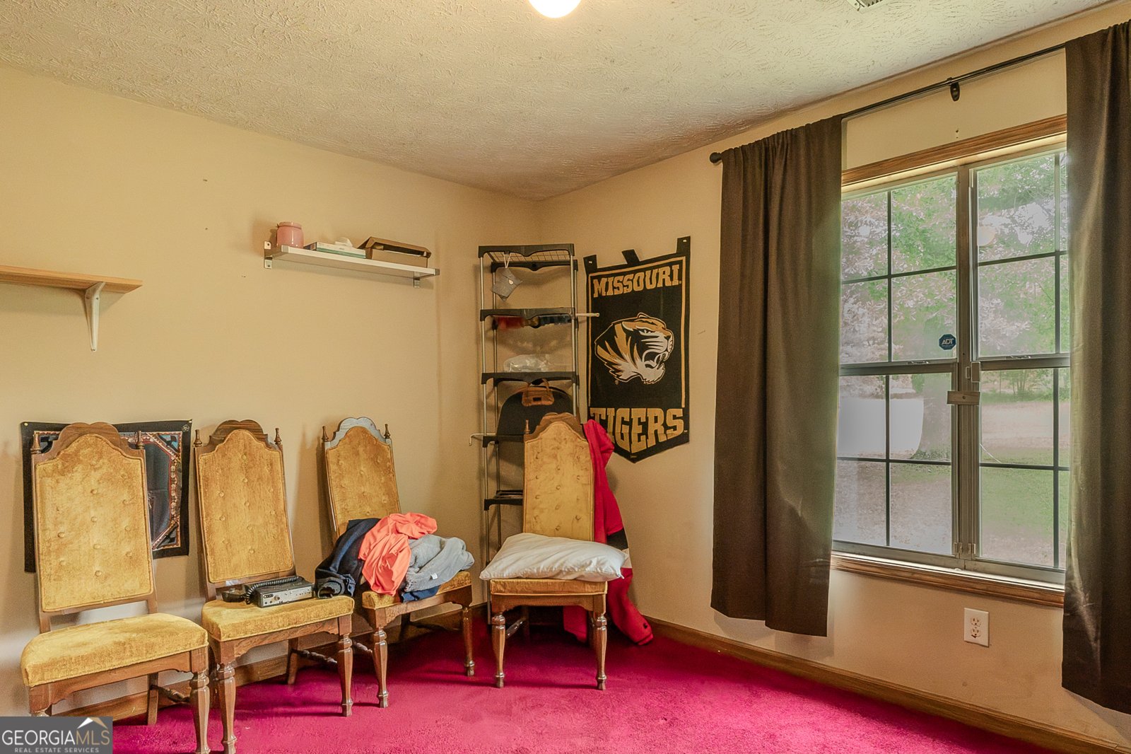 1170 Peeksville Road Locust Grove - 4